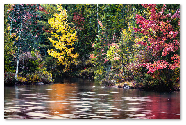 'Adirondacks' Canvas Art by David Ayash, 30