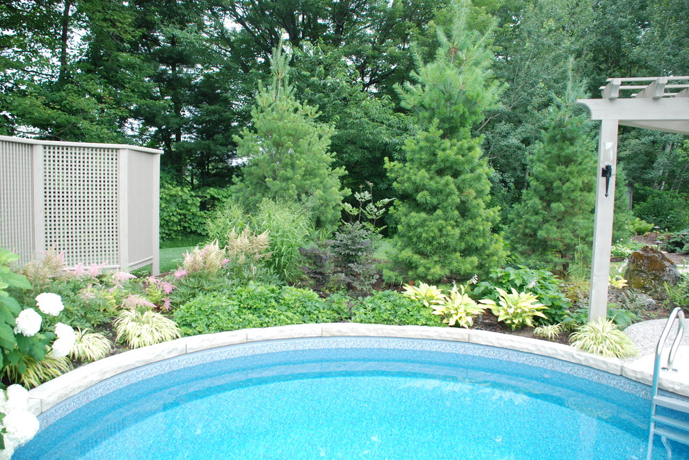 Pool - transitional pool idea in Toronto