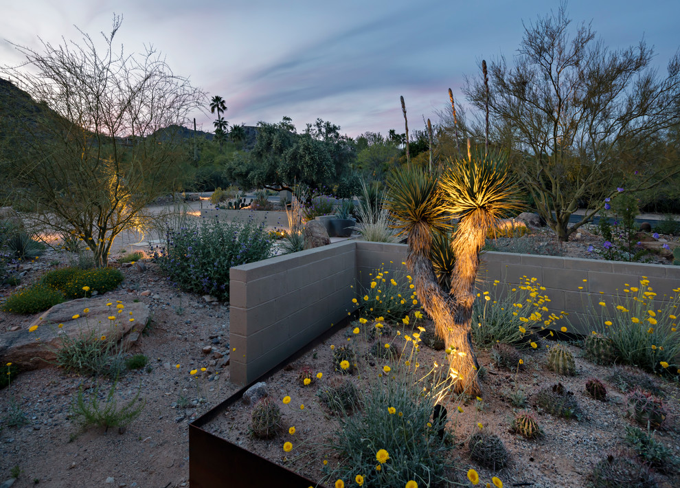 Photo of a midcentury front yard xeriscape in Phoenix.