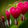 webuser_700407865