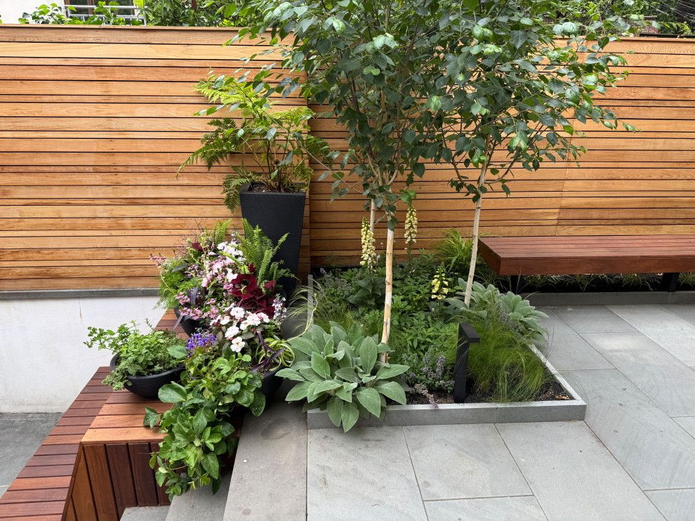 Carroll Gardens Modern