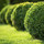Essential Lawn Care & Landscaping