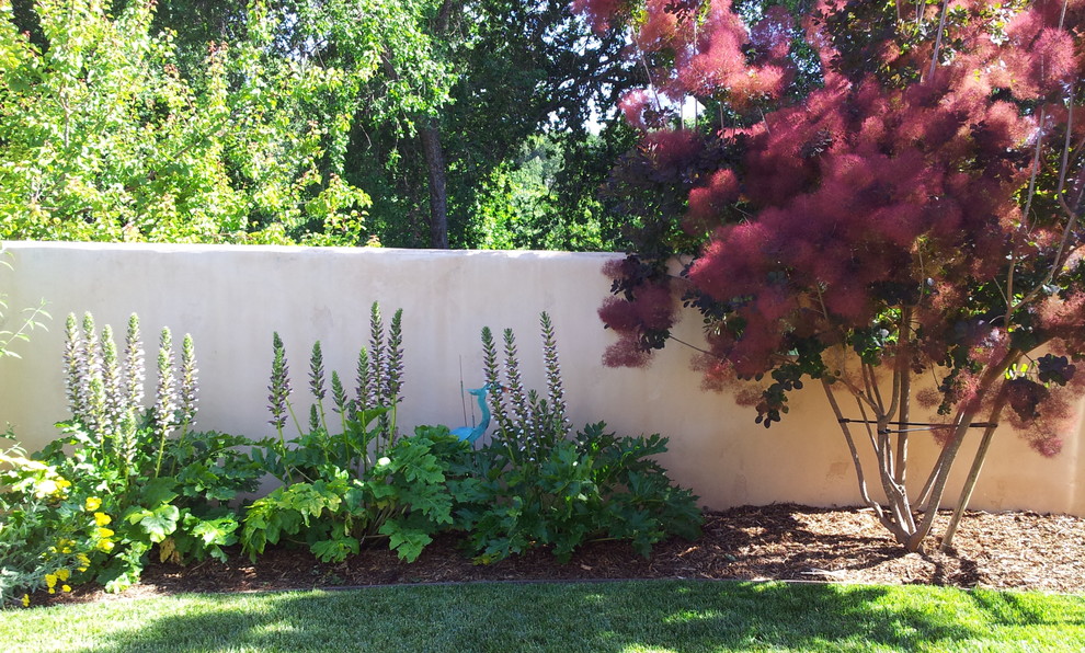 Photo of a mid-sized traditional backyard partial sun formal garden for spring in San Francisco with mulch.
