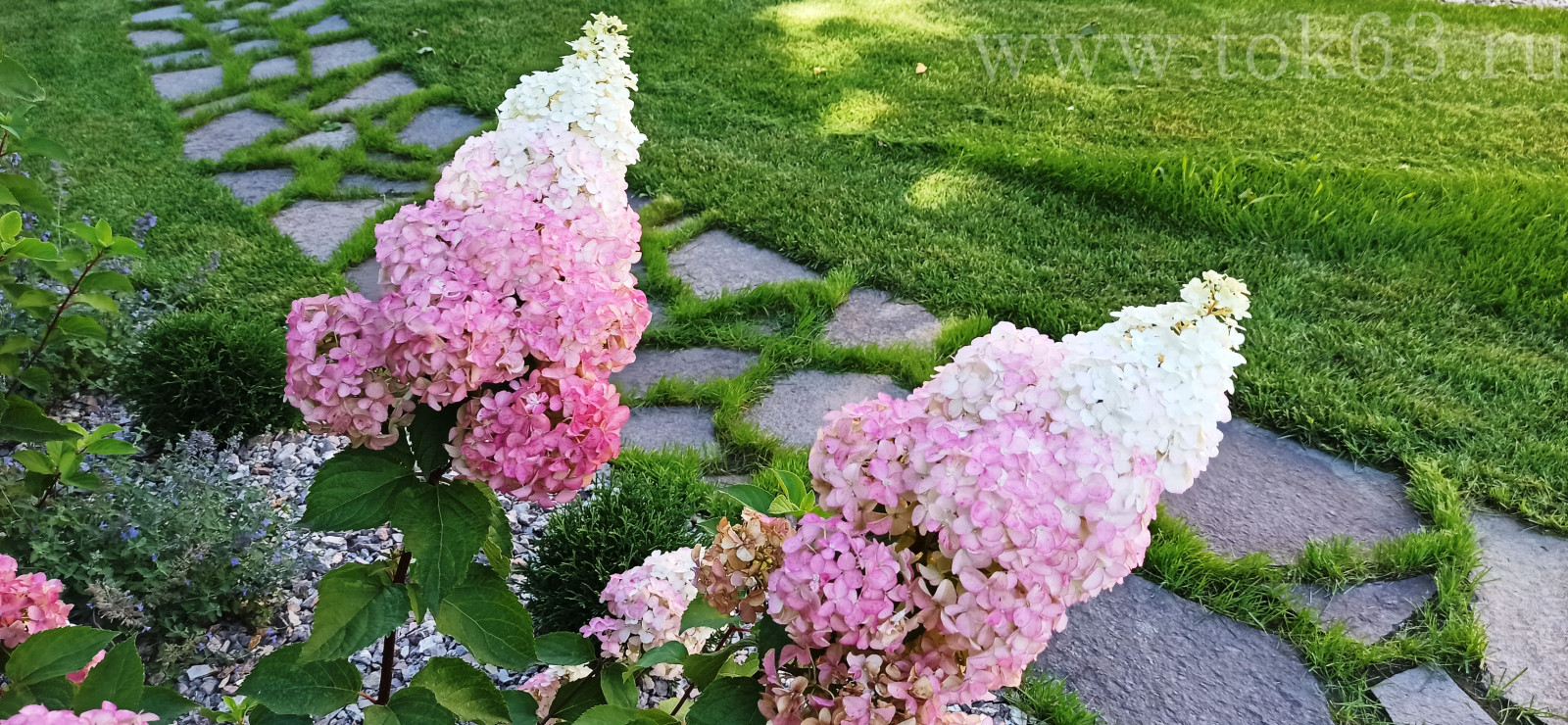 Объект 11 соток. Реализация 2020