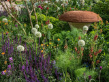 Il Giardino Del Futuro dall’RHS Chelsea Flower Show 2022 (8 photos) - image  on http://www.designedoo.it