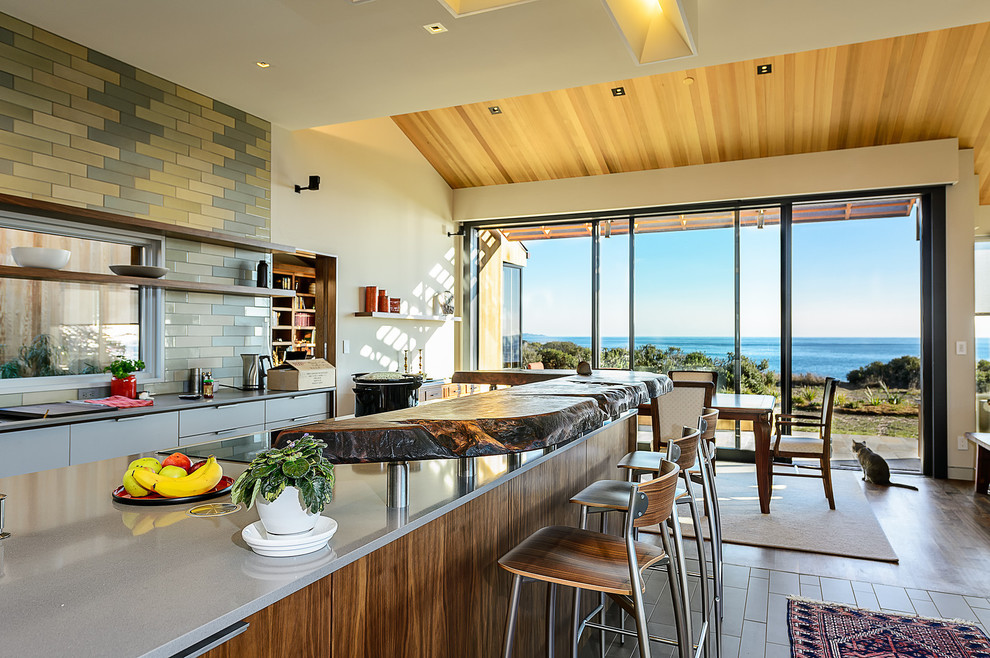 Inspiration for a midcentury kitchen in San Francisco with stainless steel appliances.