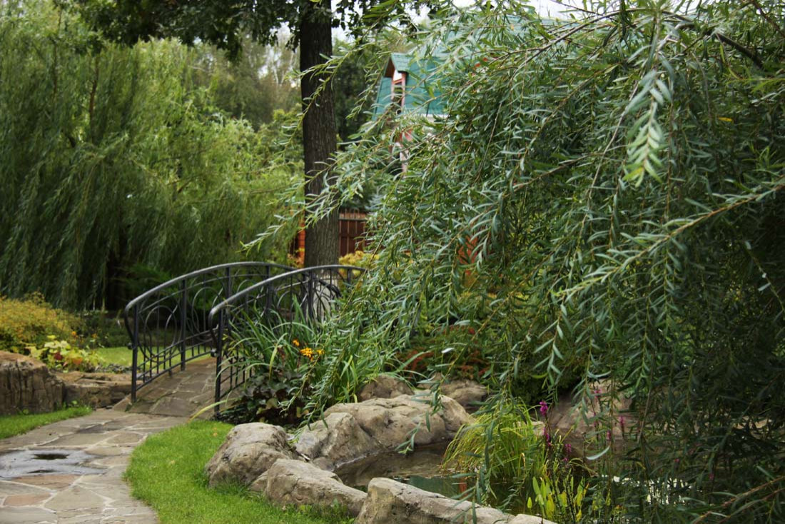 Сад сезонов в Вороново