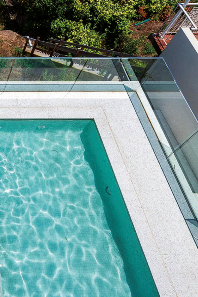 Esempio di una grande piscina monocorsia moderna rettangolare dietro casa con una dépendance a bordo piscina