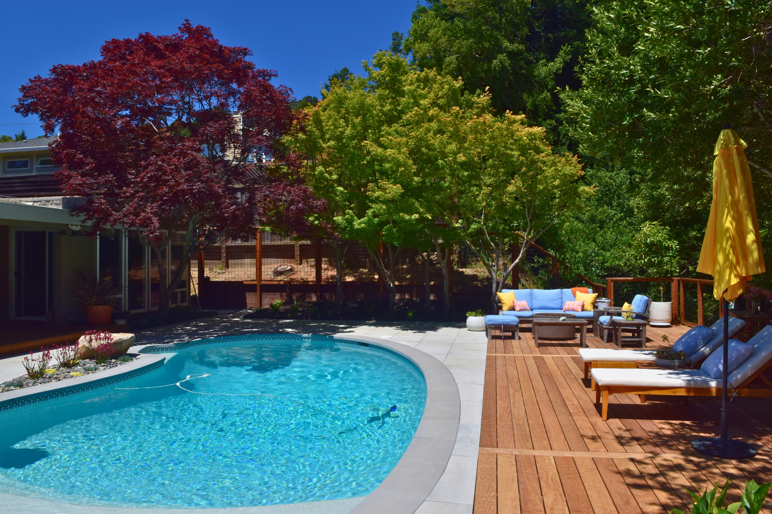 Backyard Pool Deck in San Rafael