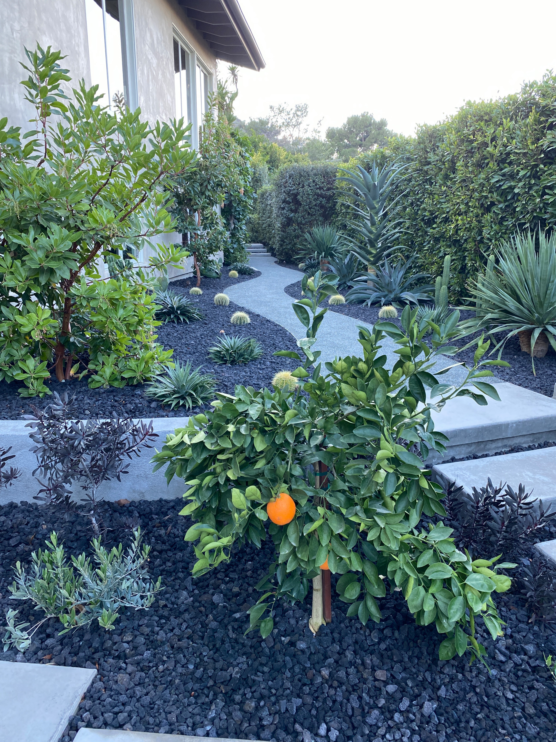Private Los Angeles Oasis
