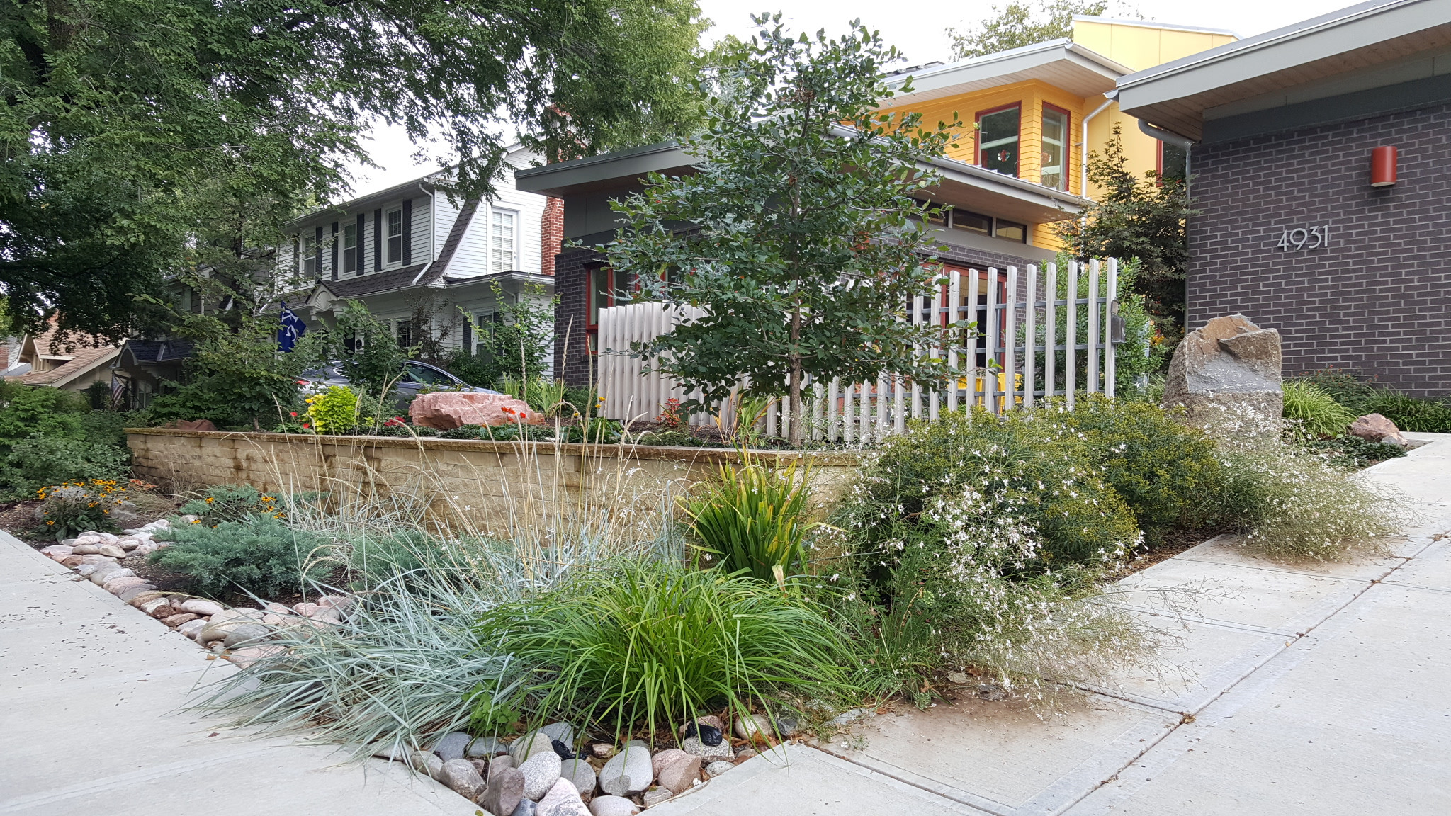Westwood Contemporary Front Yard Entry
