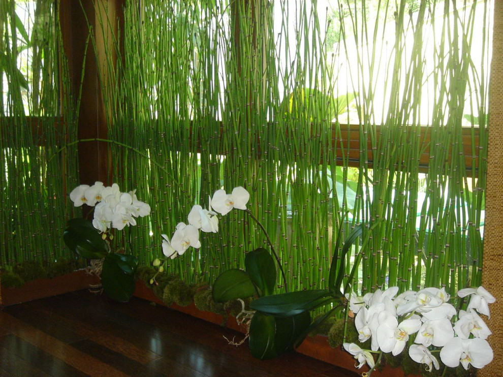 Hollywood Hills Greenhouse Design