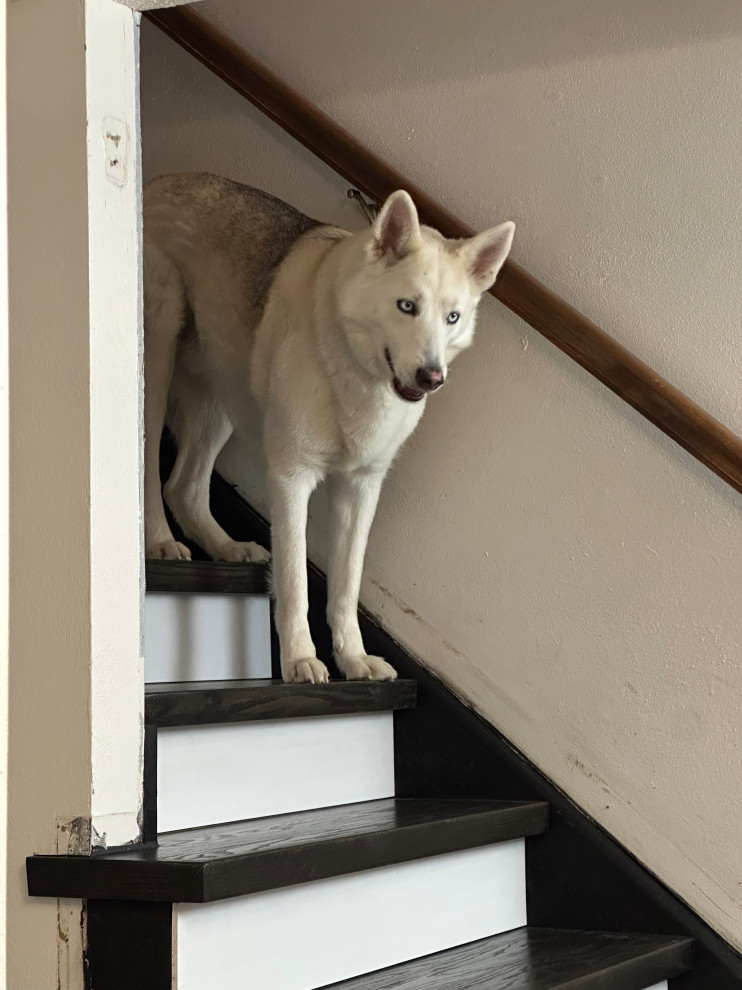 Littleton Staircase Update