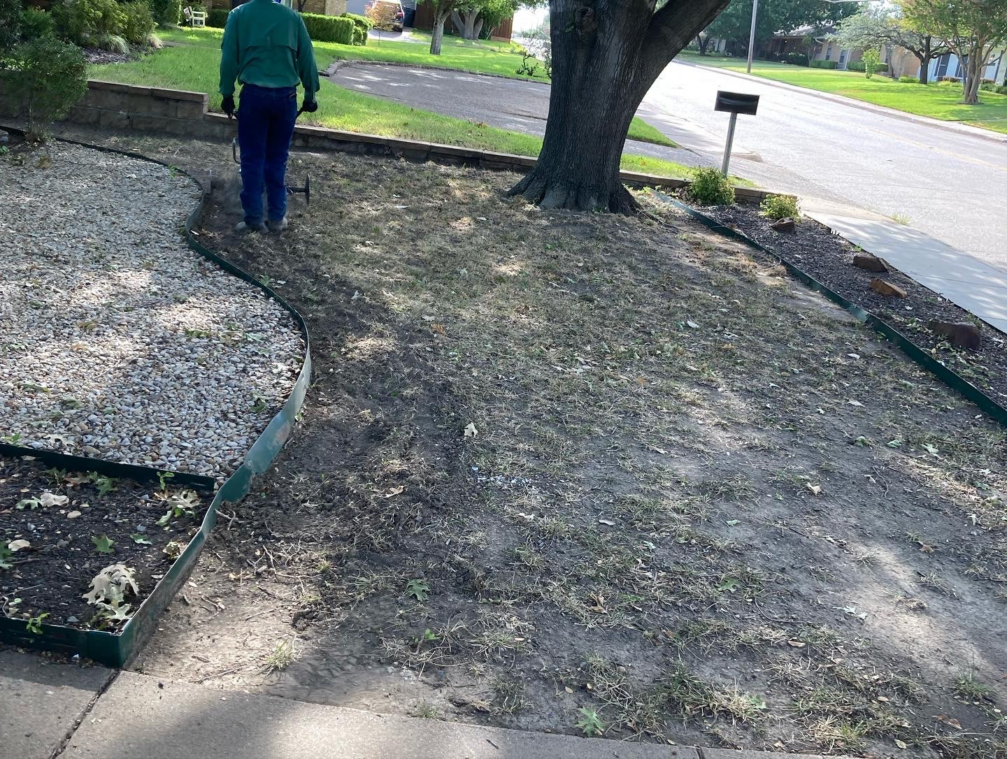 Front Lawn Sod