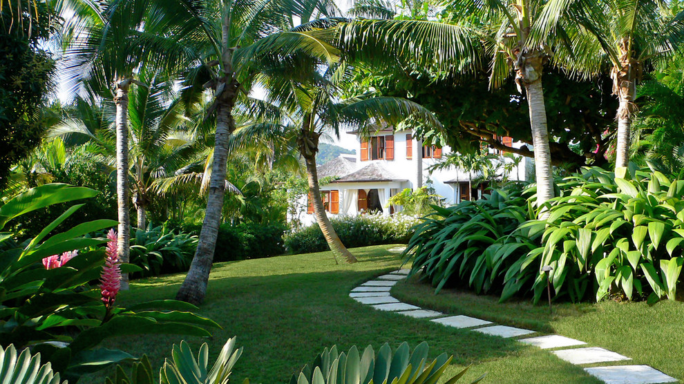 Photo of a tropical garden in Miami.
