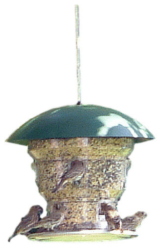 Feeding Frenzy Bird Feeder Transitional Bird Feeders By Wild