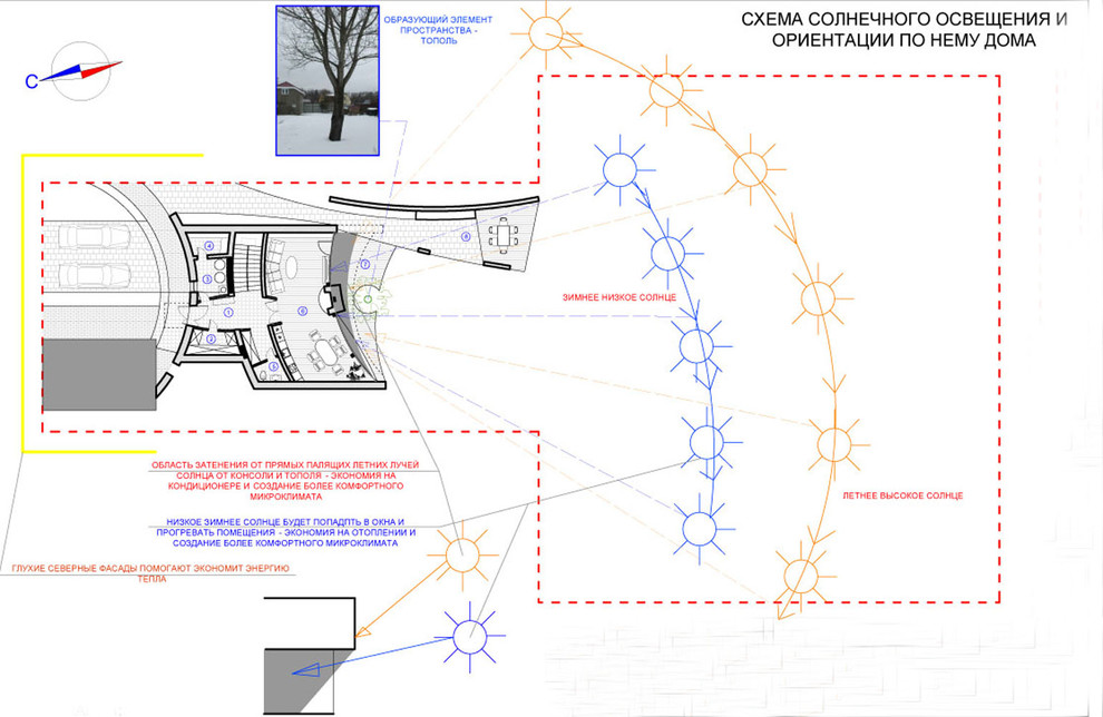 “Тополиный дом”