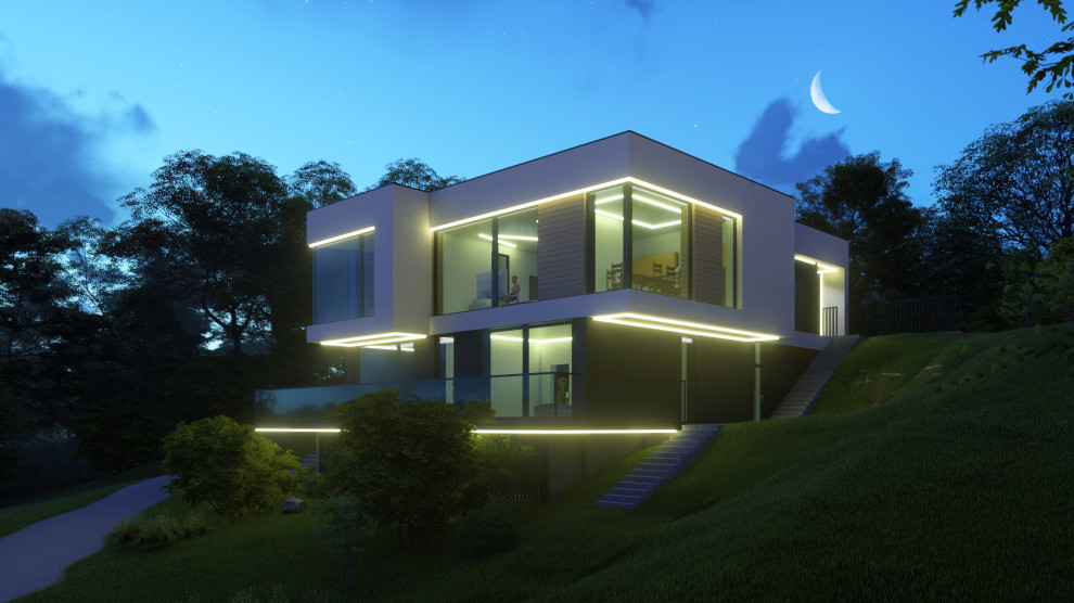 Minimal modern house 207+198