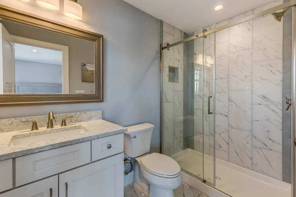 Dolphin Watch (2023)