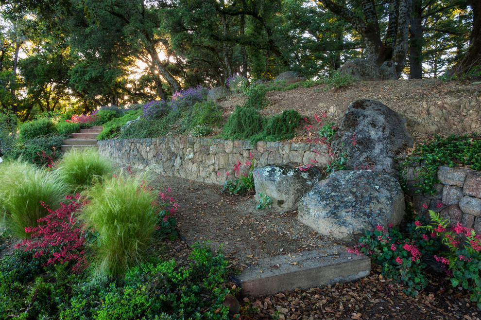 Traditional backyard garden in San Francisco.