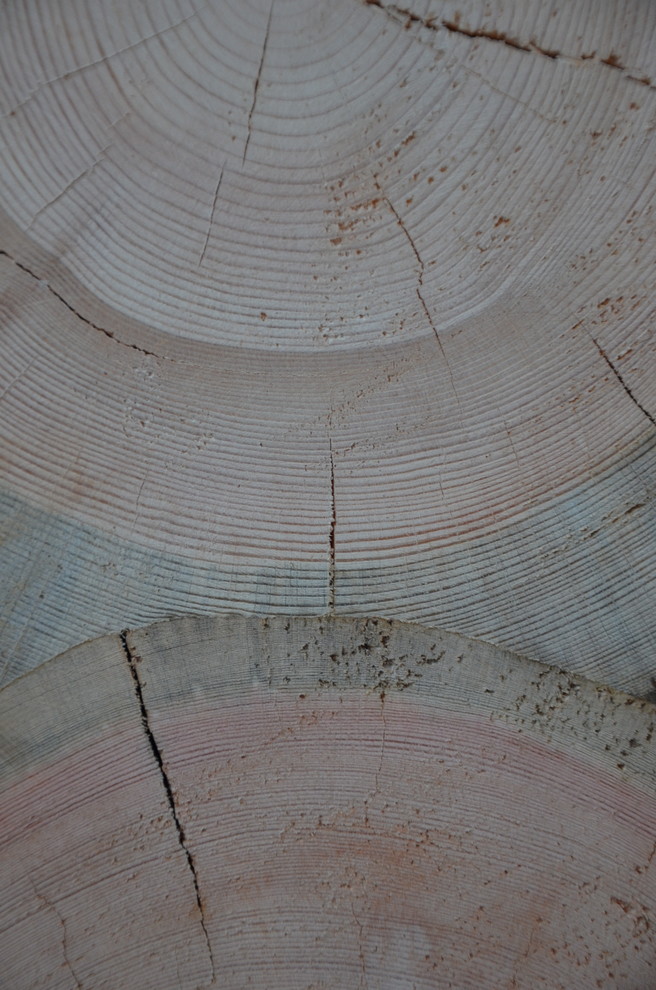 Избушка на опушке