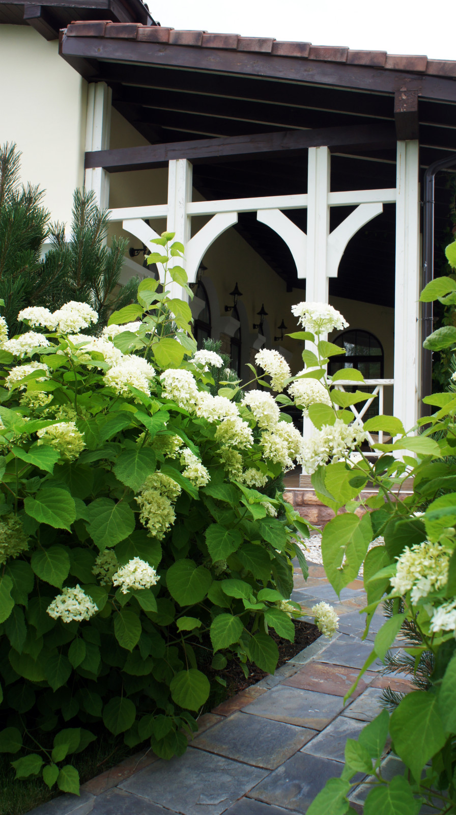 Участок 30 соток