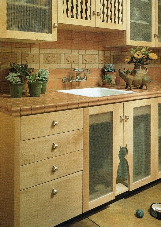 Inspiration for a mid-sized kitchen in Albuquerque.