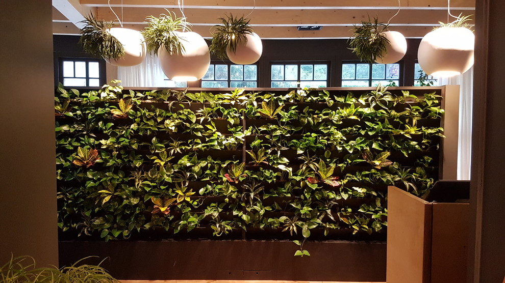 Фитодизайн. Все растения из садового центра "ЮНАМАКС"