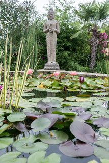 Kleiner Garten Mit Teich Ideen Fur Die Gartengestaltung