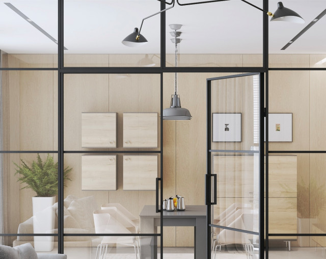 Door & Glazing System (Screens, Sliding & Hinged) Minimalistisch