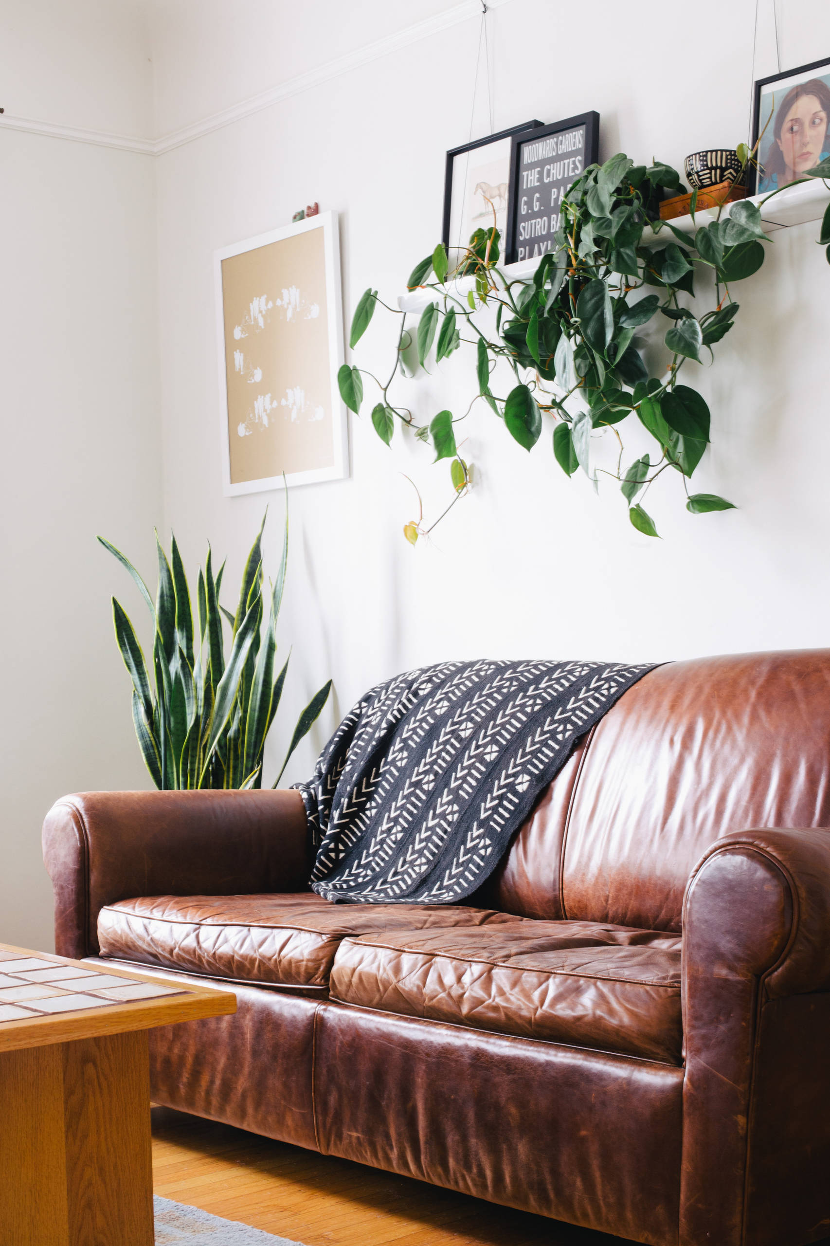 The Secret to Keeping Your Houseplants Happy and Healthy, image size:1706x2560