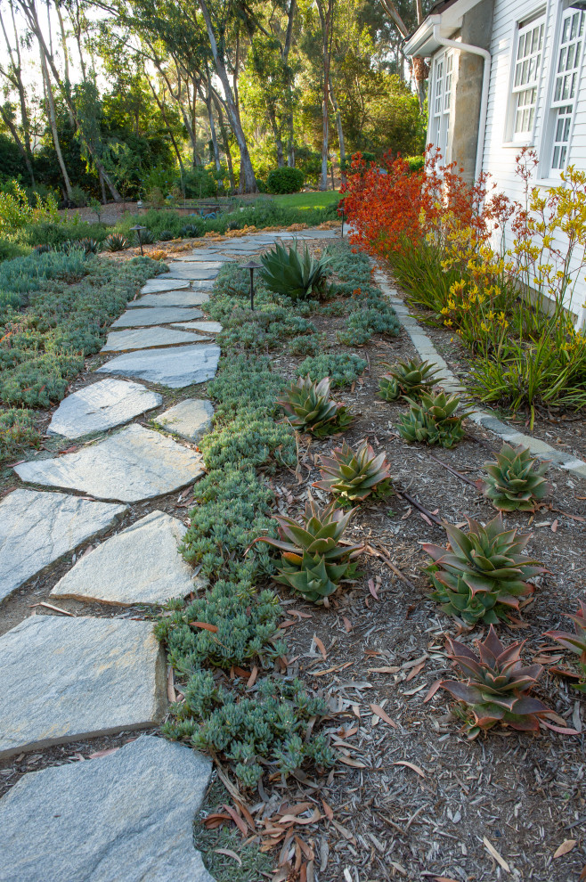 Inspiration for an expansive side yard full sun xeriscape for summer in San Diego with with path and natural stone pavers.