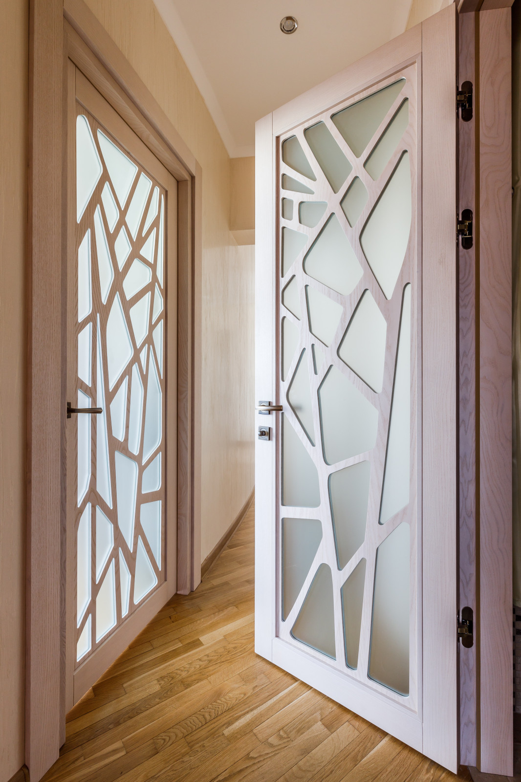 Авторские перегородки и двери в современной стиле "Fantasy"