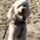 jeffrey_lee3631887