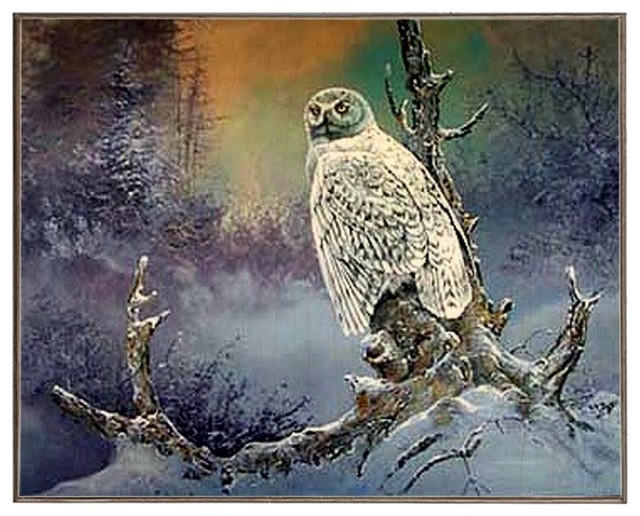 Owl, Birch Wood Print