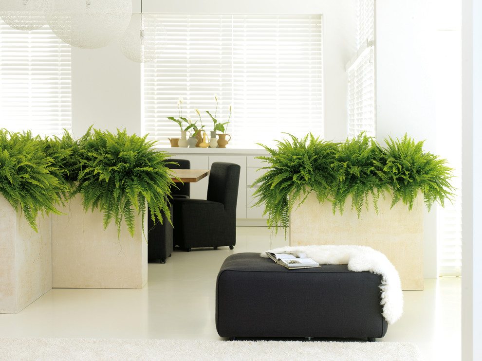 Moderne Wohnidee in Düsseldorf