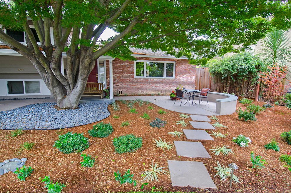 Under The Big Japanese Maple Tree Traditional Landscape San