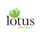 Lotus Interiors Ltd