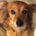 lynn_wenzel20