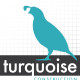 Turquoise Construction