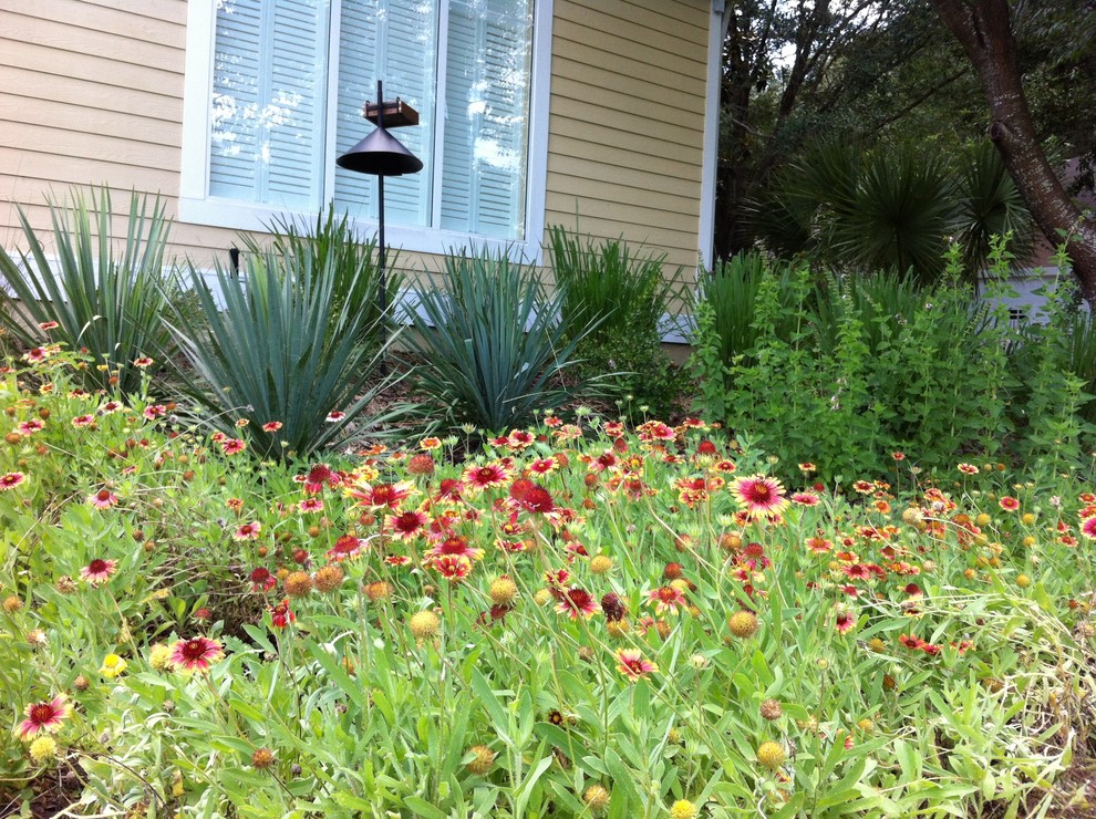 Photo of a traditional landscaping in Orlando.