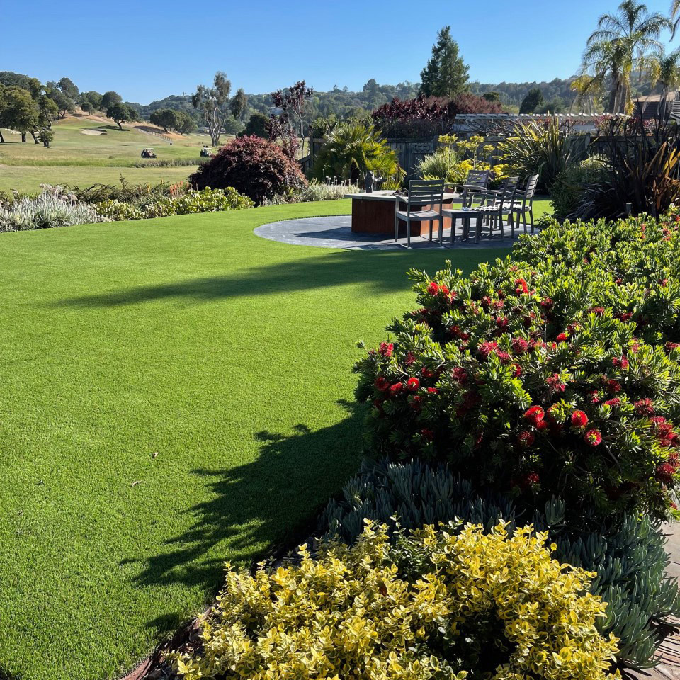 Immagine di un grande giardino xeriscape contemporaneo esposto in pieno sole dietro casa in primavera