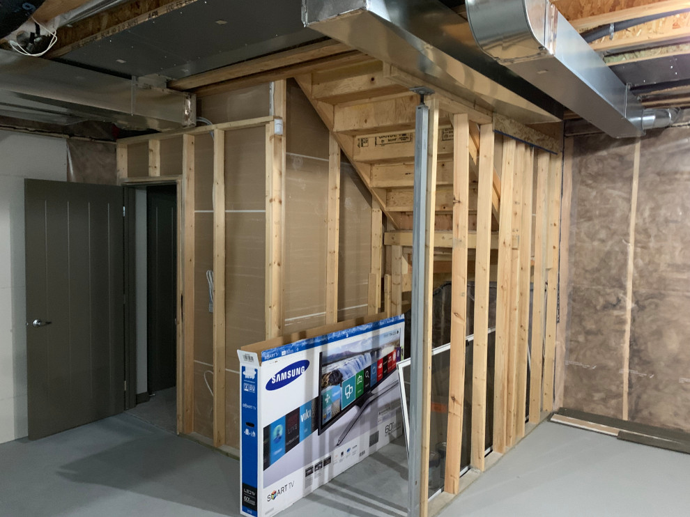 Basement Development
