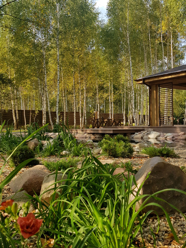 Пруд и берёзы