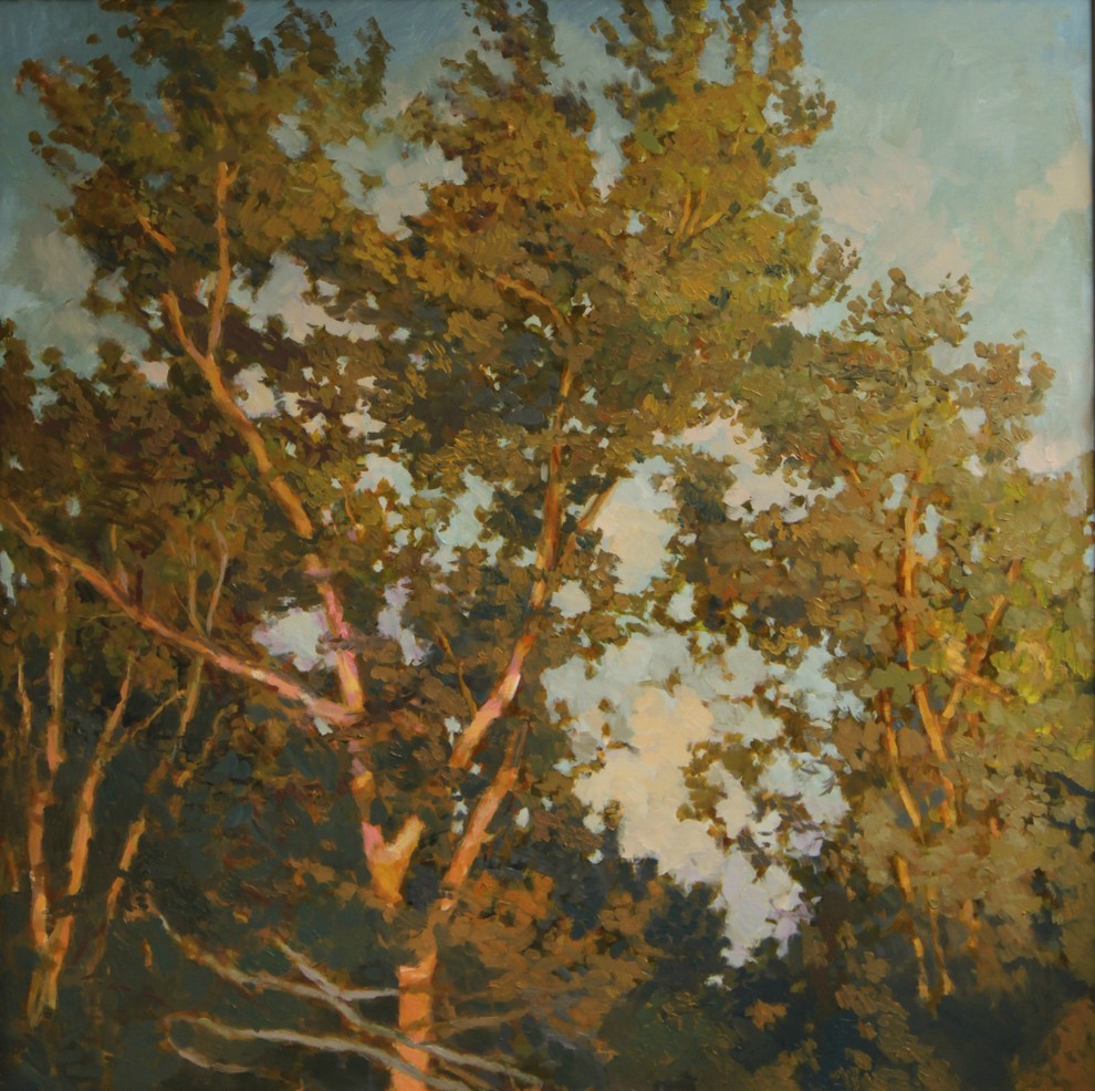 В лучах солнца