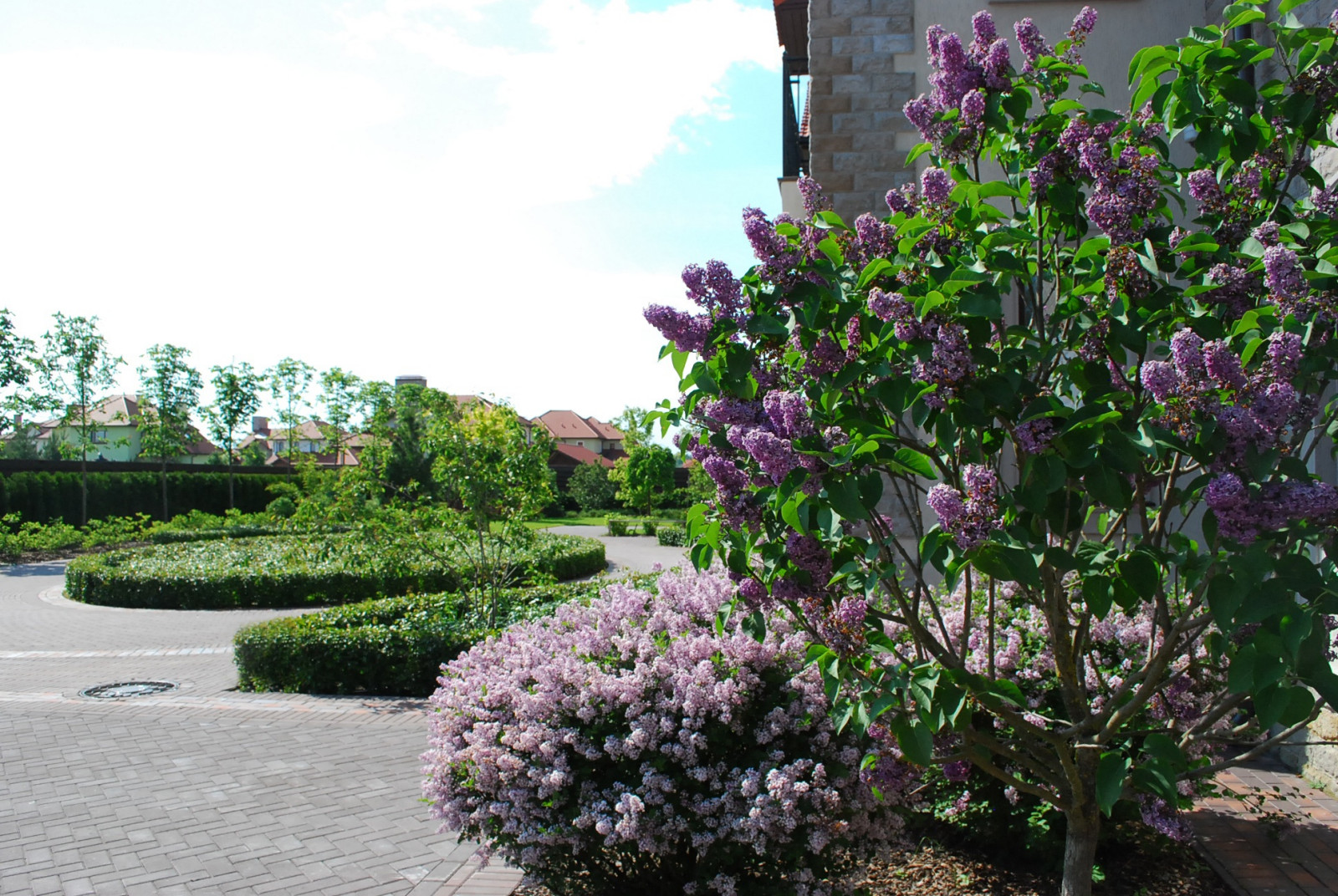 Усадьба в Репино