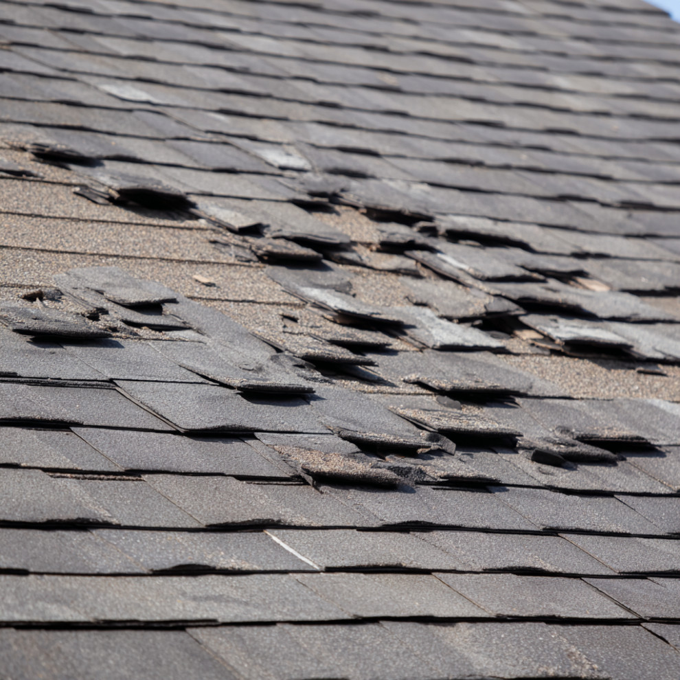 Roof Shingles
