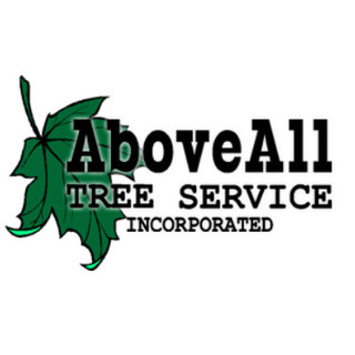 Above All Tree Service Inc Conyers Ga Us 30012