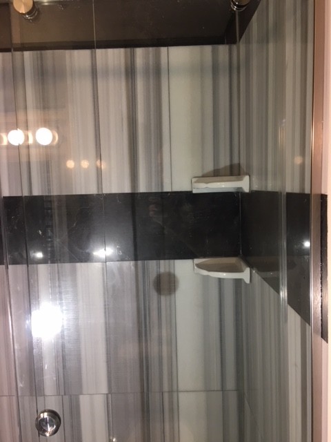 Frameless Shower Glass Doors