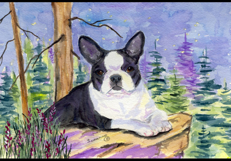 Boston Terrier Indoor Or Outdoor Mat 24x36 Doormat Traditional